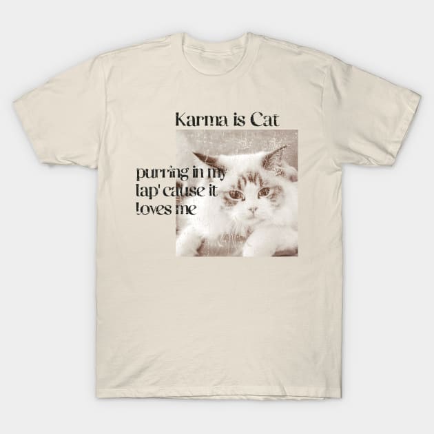 Karma is a cat funny T-Shirt by FFAFFF